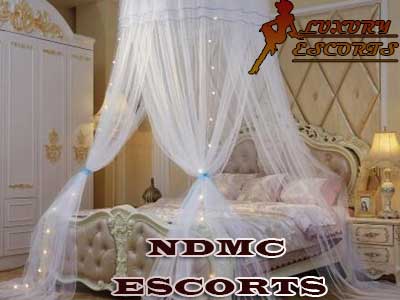 Ndmc Market Escort
